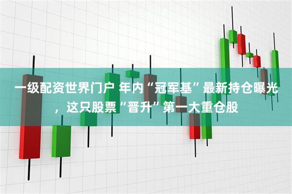 一级配资世界门户 年内“冠军基”最新持仓曝光，这只股票“晋升”第一大重仓股